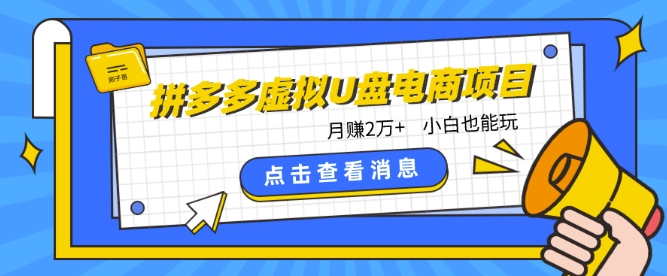 拼多多虚拟U盘电商红利项目：月赚2万+，新手小白也能玩-创业项目网