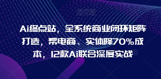 Ai终点站，全系统商业闭环矩阵打造，帮电商、实体降70%成本，12款Ai联合深度实战-创业项目网