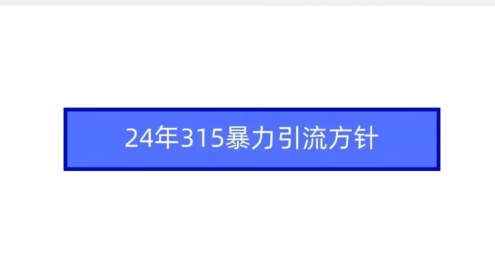 24年315暴力引流方针-创业项目网