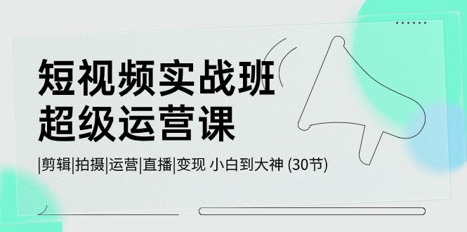 短视频实战班超级运营课 |剪辑|拍摄|运营|直播|变现 小白到大神 (30节)-创业项目网