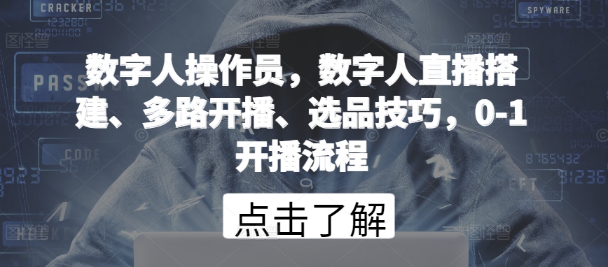 数字人操作员，数字人直播搭建、多路开播、选品技巧，0-1开播流程-创业项目网