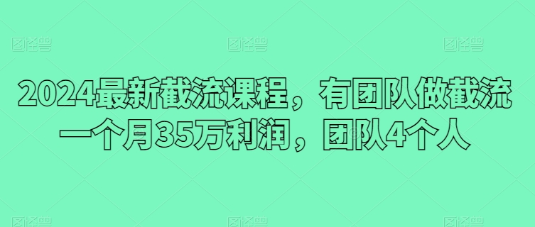 2024最新截流课程，有团队做截流一个月35万利润，团队4个人-创业项目网