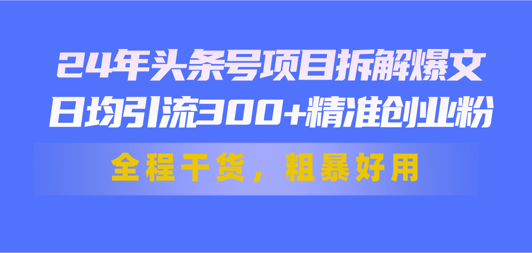 24年头条号项目拆解爆文，日均引流300+精准创业粉，全程干货，粗暴好用-创业项目网