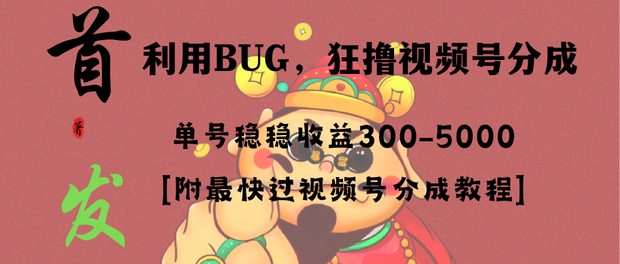 全网独家首发，视频号BUG，超短期项目，单号每日净收益300-5000！-创业项目网