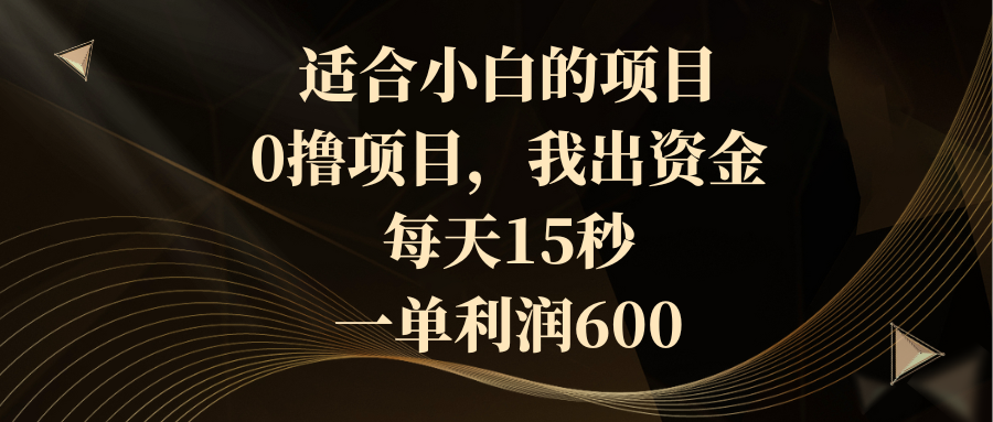 适合小白的项目，0撸项目，我出资金，每天15秒，一单利润600-创业项目网