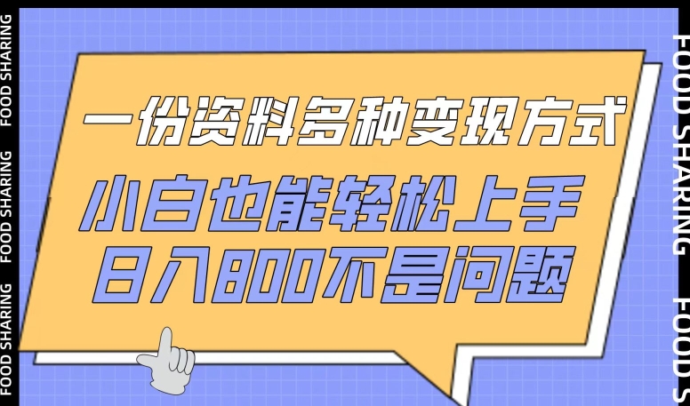 一份资料多种变现方式，小白也能轻松上手，日入800不是问题-创业项目网