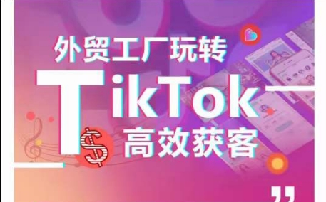 外贸工厂玩转TikTok高效获客，多种引流方式与账号定位技巧，拆解爆款短视频打造成功案例-创业项目网