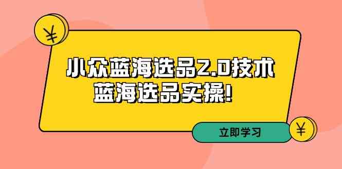 （9189期）拼多多培训第33期：小众蓝海选品2.0技术-蓝海选品实操！-创业项目网