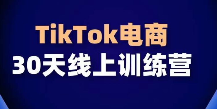 TikTok电商带货30天线上课，不可错过的全球流量洼地！-创业项目网