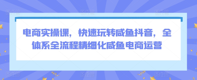 电商实操课，快速玩转咸鱼抖音，全体系全流程精细化咸鱼电商运营-创业项目网