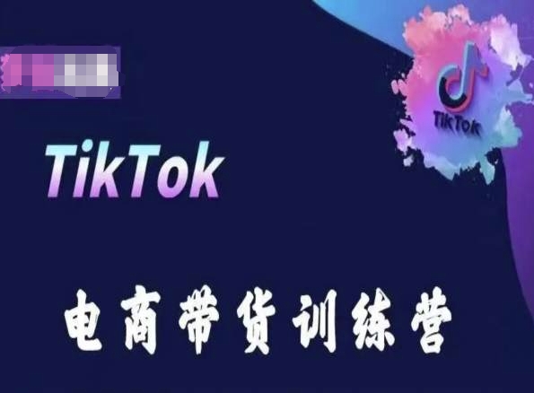 TikTok电商带货训练营，跟随时代潮流，跨境掘金-创业项目网