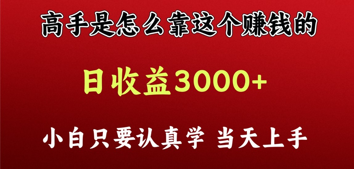 看高手是怎么赚钱的，一天收益至少3000+以上，小白当天上手-创业项目网