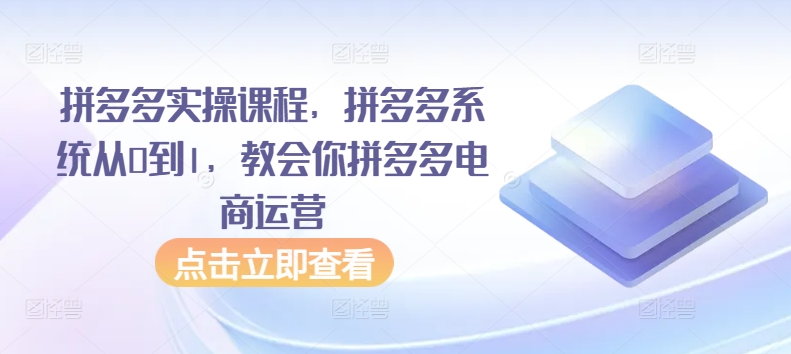 拼多多实操课程，拼多多系统从0到1，教会你拼多多电商运营-创业项目网