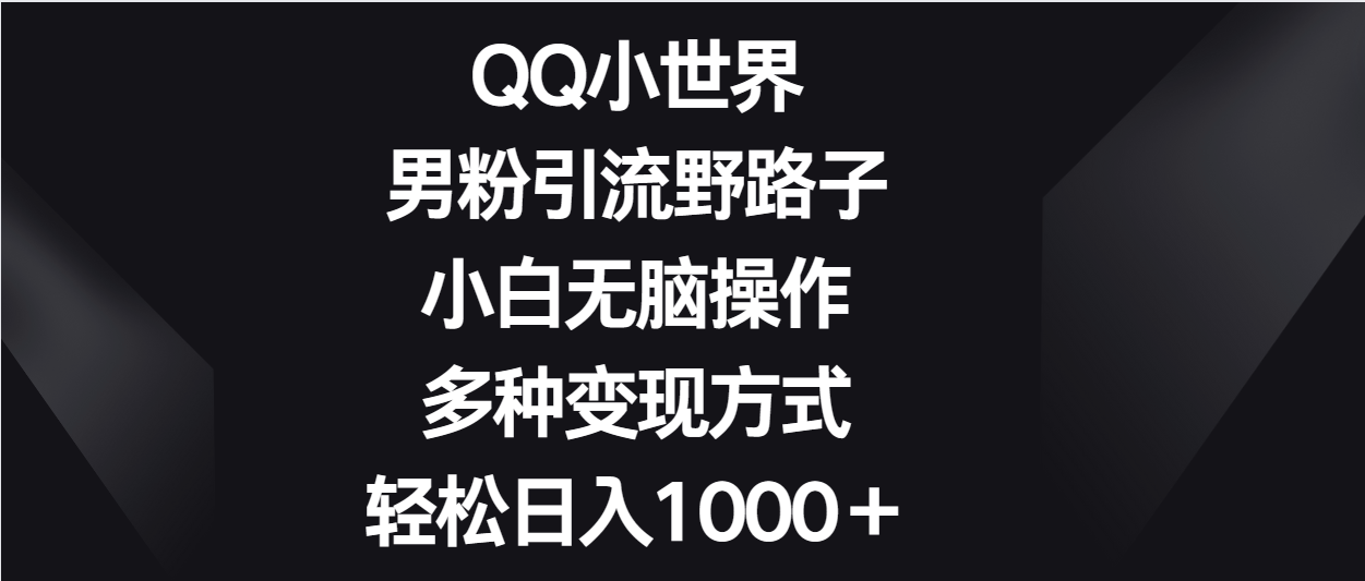 QQ小世界男粉引流野路子，小白无脑操作，多种变现方式轻松日入1000＋-创业项目网