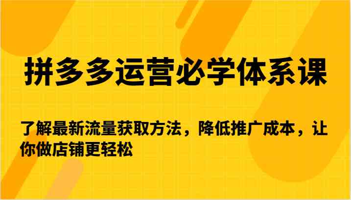 拼多多运营必学体系课-了解最新流量获取方法，降低推广成本，让你做店铺更轻松-创业项目网