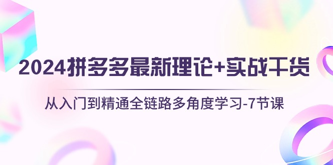 （10816期）2024拼多多 最新理论+实战干货，从入门到精通全链路多角度学习-7节课-创业项目网