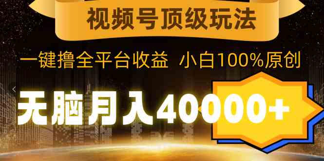 （9281期）视频号顶级玩法，无脑月入40000+，一键撸全平台收益，纯小白也能100%原创-创业项目网