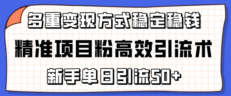 精准项目粉高效引流术，新手单日引流50+，多重变现方式稳定赚钱-创业项目网