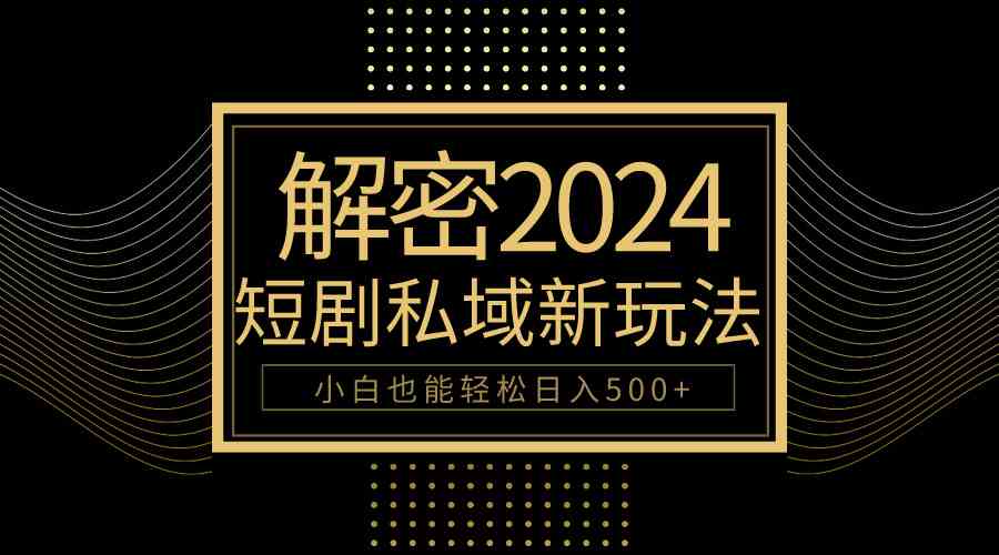 （9951期）10分钟教会你2024玩转短剧私域变现，小白也能轻松日入500+-创业项目网