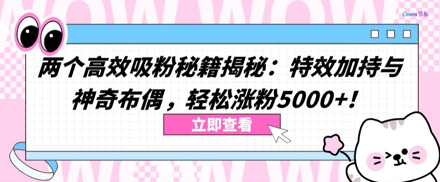 两个高效吸粉秘籍揭秘：特效加持与神奇布偶，轻松涨粉5000+-创业项目网