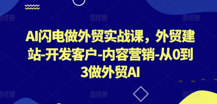 AI闪电做外贸实战课，​外贸建站-开发客户-内容营销-从0到3做外贸AI-创业项目网