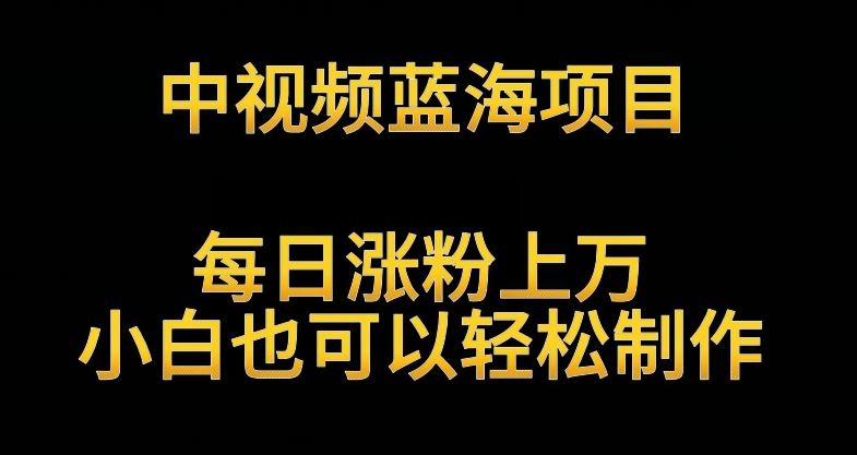 中视频蓝海项目，解读英雄人物生平，每日涨粉上万，小白也可以轻松制作，月入过万不是梦-创业项目网