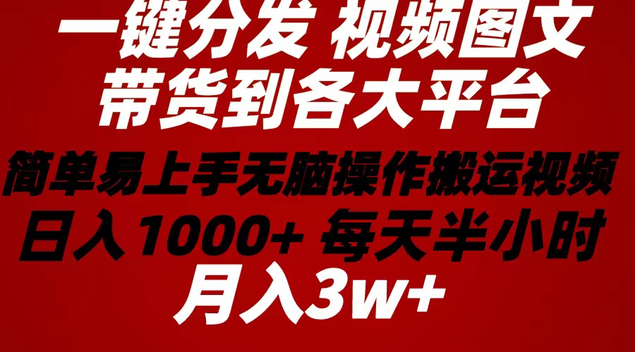 （10667期）2024年 一键分发带货图文视频  简单易上手 无脑赚收益 每天半小时日入1…-创业项目网