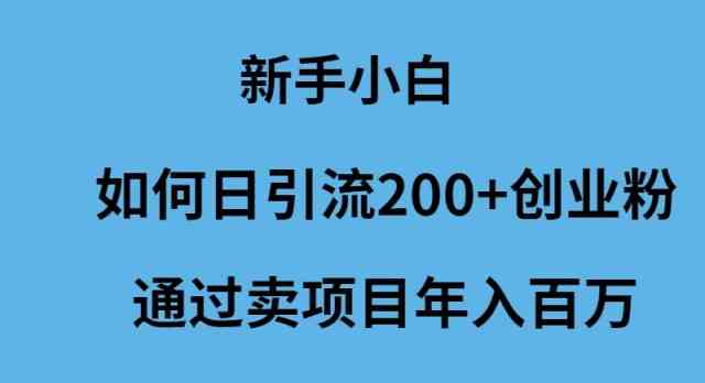 （9668期）新手小白如何日引流200+创业粉通过卖项目年入百万-创业项目网