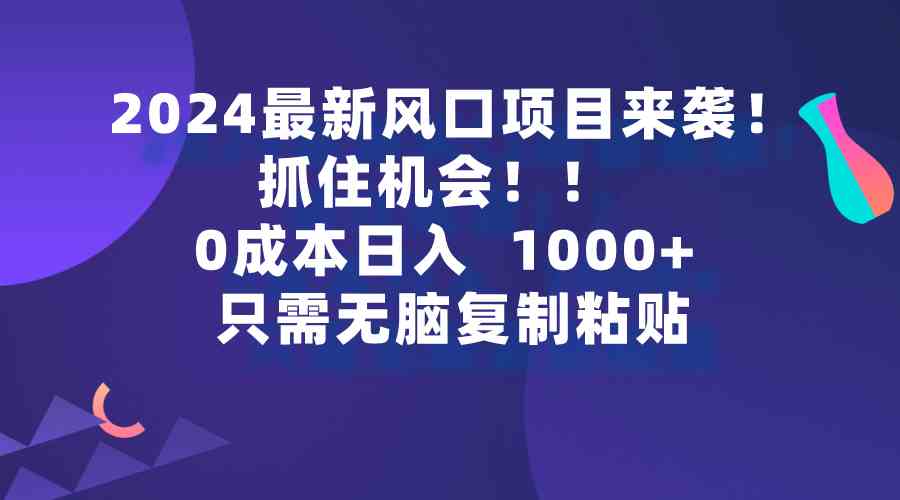 （9899期）2024最新风口项目来袭，抓住机会，0成本一部手机日入1000+，只需无脑复…-创业项目网