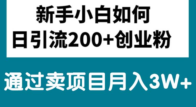 （10843期）新手小白日引流200+创业粉,通过卖项目月入3W+-创业项目网