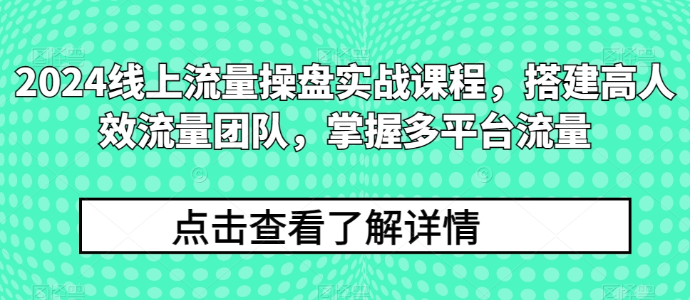 2024线上流量操盘实战课程，搭建高人效流量团队，掌握多平台流量-创业项目网