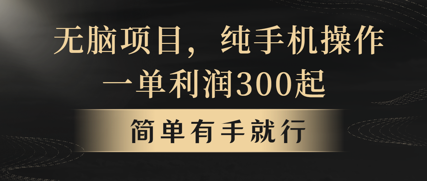 （10699期）无脑项目，一单几百块，轻松月入5w+，看完就能直接操作-创业项目网