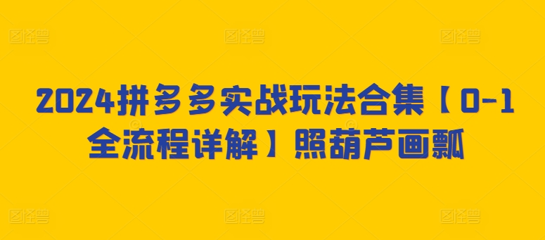 2024拼多多实战玩法合集【0-1全流程详解】照葫芦画瓢-创业项目网