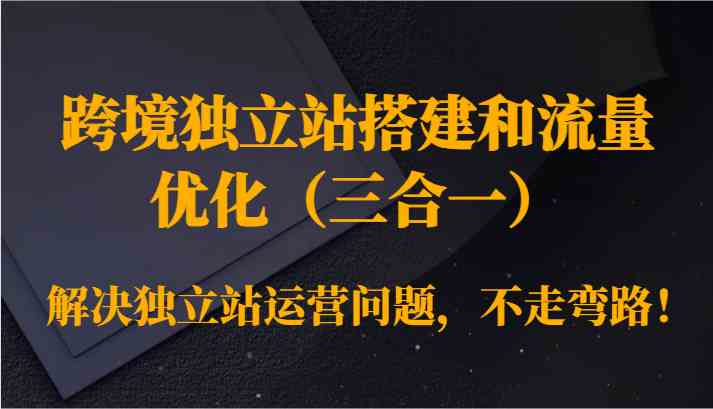 跨境独立站搭建和流量优化（三合一）解决独立站运营问题，不走弯路！-创业项目网