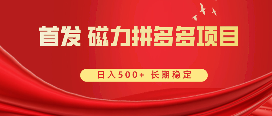 首发 磁力拼多多自撸 日入500+-创业项目网