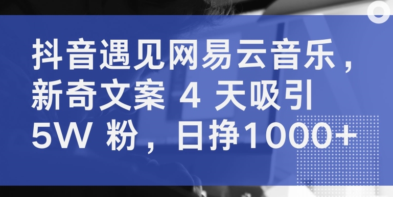 抖音遇见网易云音乐，新奇文案 4 天吸引 5W 粉，日挣1000+-创业项目网