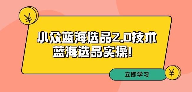 拼多多培训第33期：小众蓝海选品2.0技术-蓝海选品实操！-创业项目网