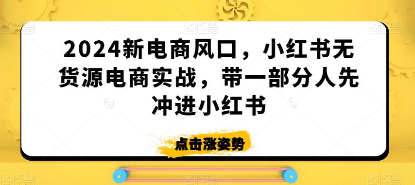 2024新电商风口，小红书无货源电商实战，带一部分人先冲进小红书-创业项目网