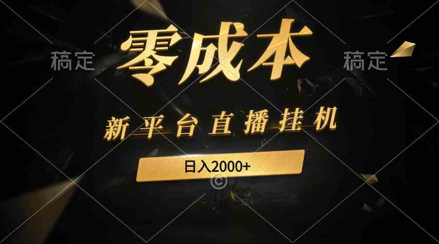 （9841期）新平台直播挂机最新玩法，0成本，不违规，日入2000+-创业项目网