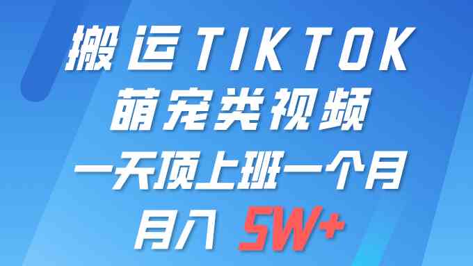 （9931期）一键搬运TIKTOK萌宠类视频 一部手机即可操作 所有平台均可发布 轻松月入5W+-创业项目网