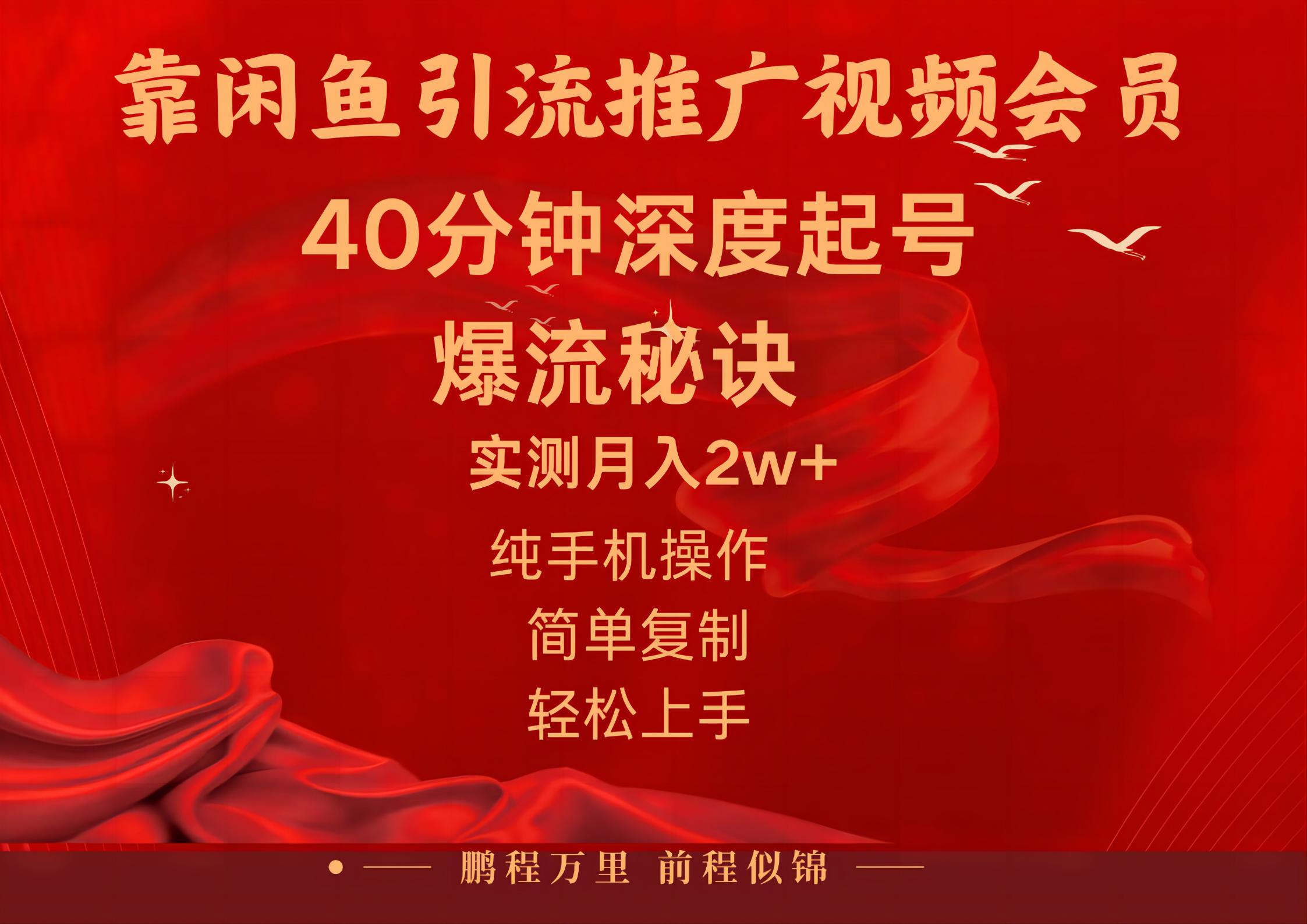 闲鱼暴力引流推广视频会员，能做到日入2W+，操作简单-创业项目网