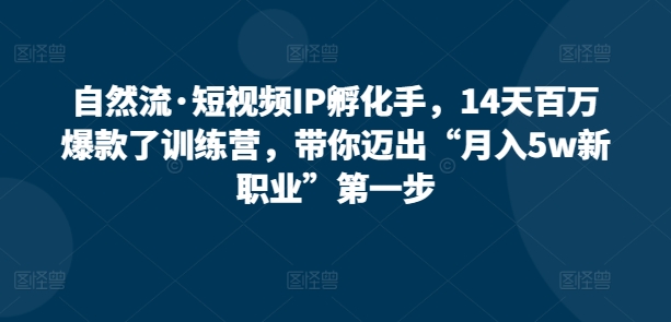 自然流·短视频IP孵化手，14天百万爆款了训练营，带你迈出“月入5w新职业”第一步-创业项目网