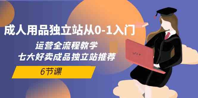 成人用品独立站从0-1入门，运营全流程教学，七大好卖成品独立站推荐（6节课）-创业项目网