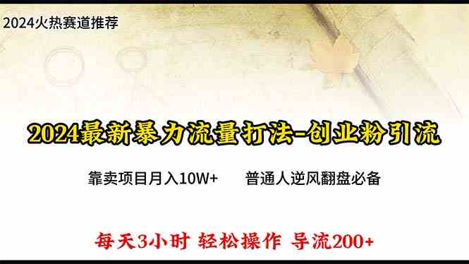 （10151期）2024年最新暴力流量打法，每日导入300+，靠卖项目月入10W+-创业项目网