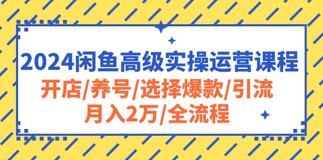 （10711期）2024闲鱼高级实操运营课程：开店/养号/选择爆款/引流/月入2万/全流程-创业项目网