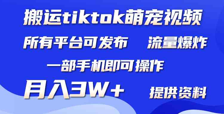 （9618期）搬运Tiktok萌宠类视频，一部手机即可。所有短视频平台均可操作，月入3W+-创业项目网