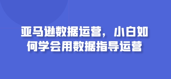 亚马逊数据运营，小白如何学会用数据指导运营-创业项目网