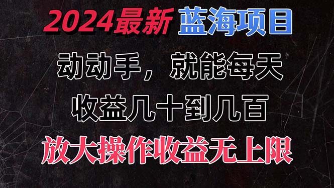 有手就行的2024全新蓝海项目，每天1小时收益几十到几百，可放大操作-创业项目网