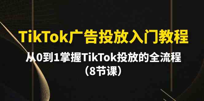 （10085期）TikTok广告投放入门教程，从0到1掌握TikTok投放的全流程（8节课）-创业项目网