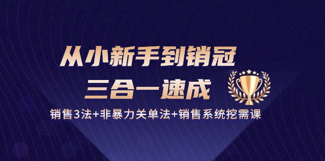 （10799期）从小新手到销冠 三合一速成：销售3法+非暴力关单法+销售系统挖需课 (27节)-创业项目网